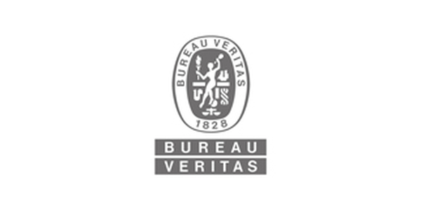 bv logo_600x300